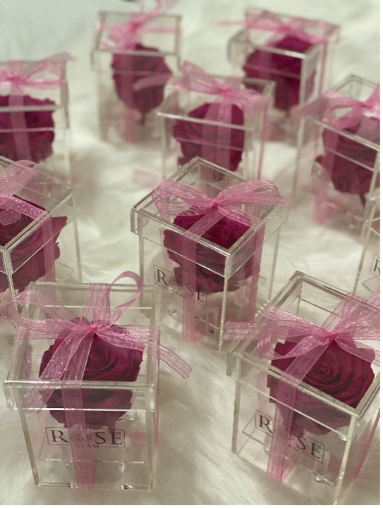 One Rosa Container Acrylic Single Rose Box – theroseglam.com
